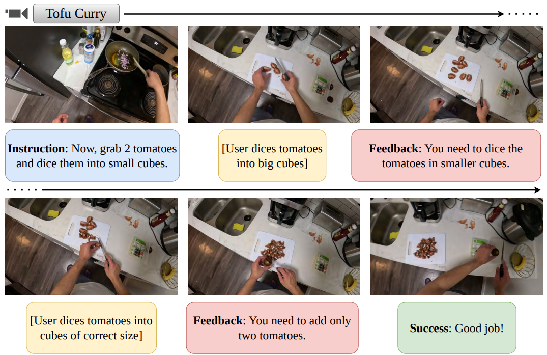 An Ego-MC-Bench example showing a Tofu Curry recipe, with instructions, user actions, and instructor feedback.